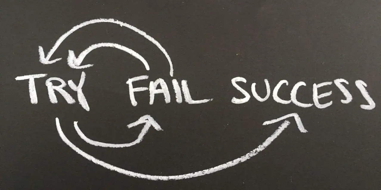 Learning From ‌Failure And Adapting To Change