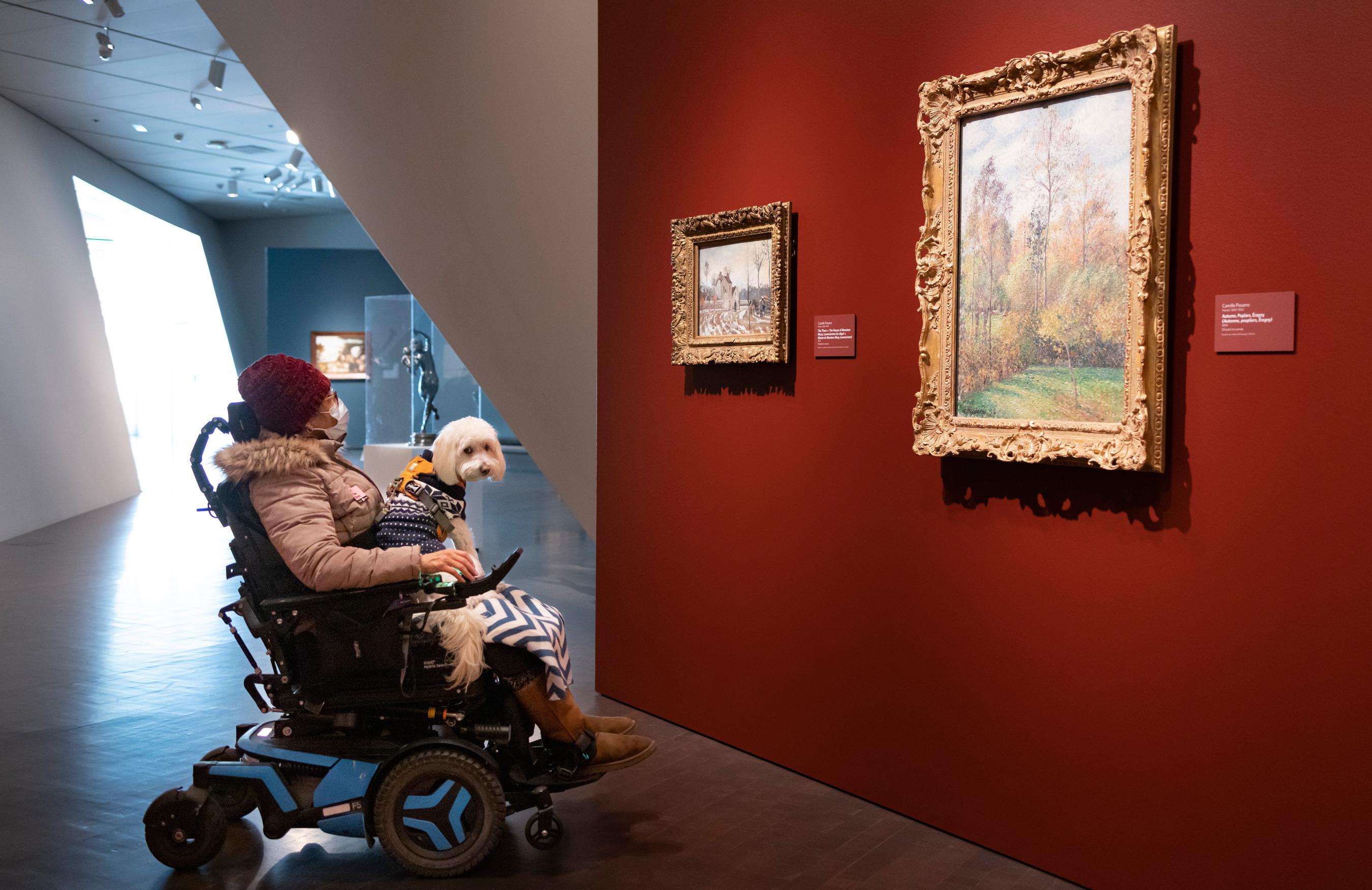 Museum Accessibility And Visitor Experience