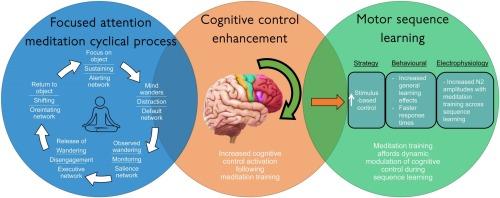 Building Resilience Through Focused Attention And Problem Solving