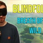 Random: “I’M Done” – Blindfolded Speedrunner Smashes ‘Super Mario 64’ Record