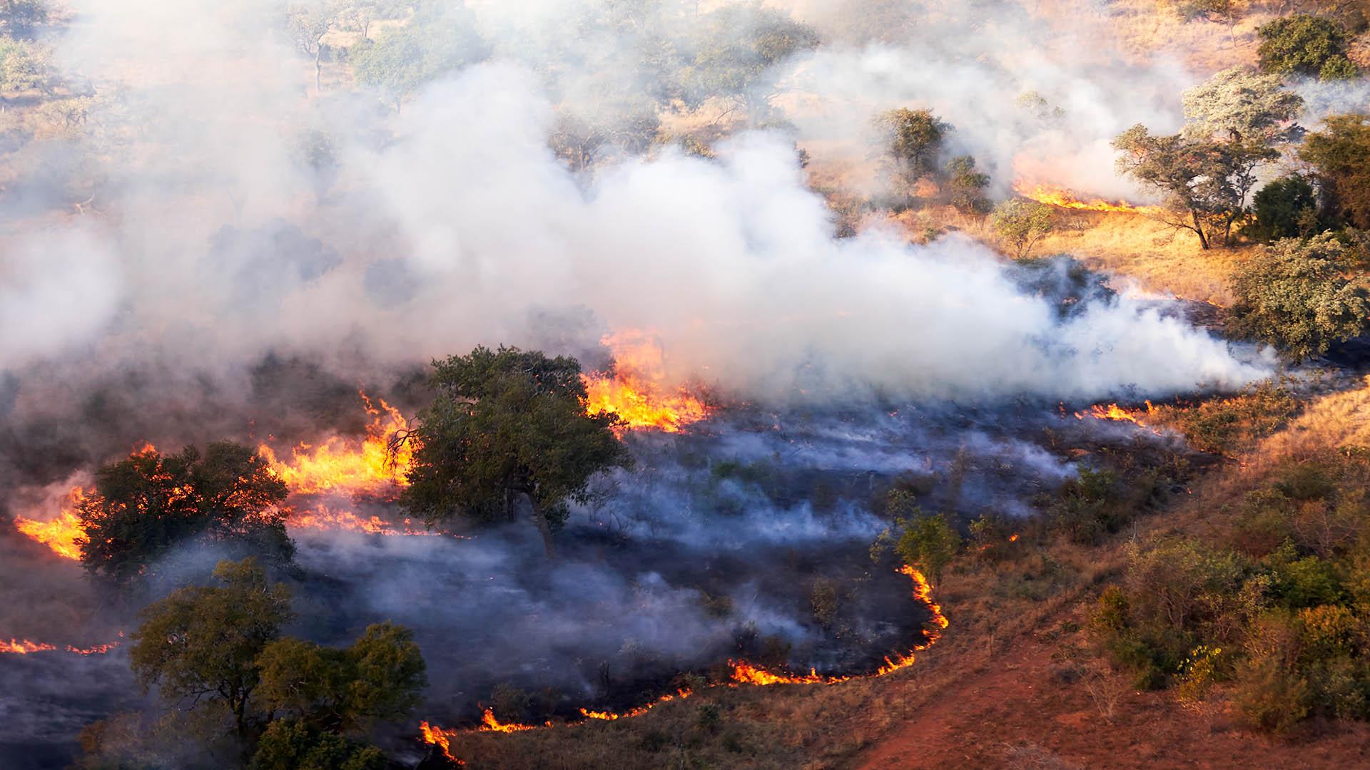 Firebreaks Reimagined Control Mechanics At Work