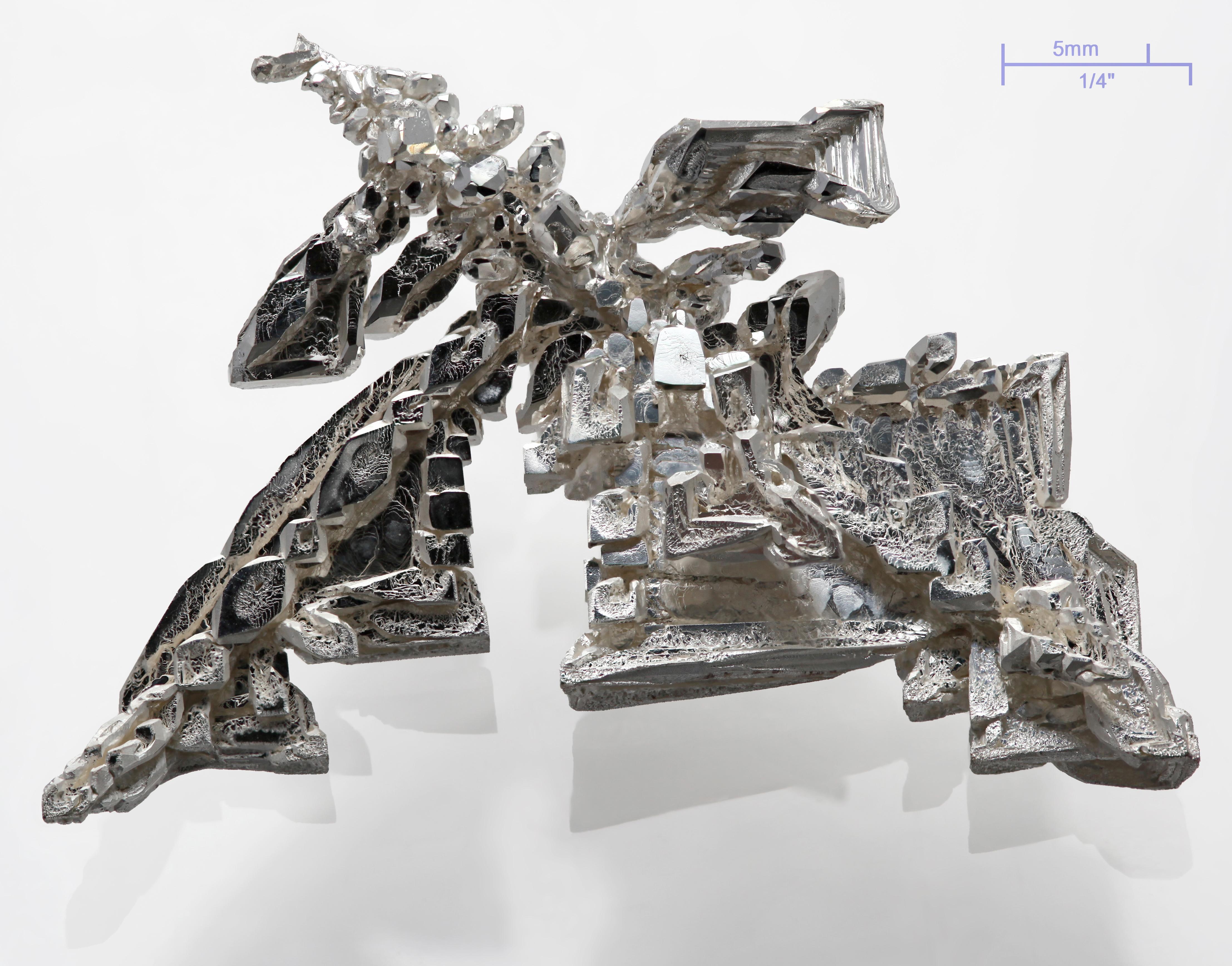 Silver Wolfs Feline Friend Detailed