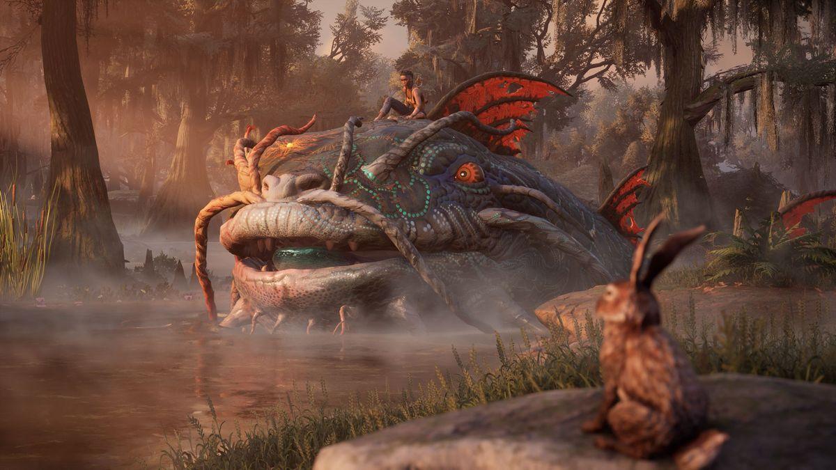 Getting Started With The Gameplay