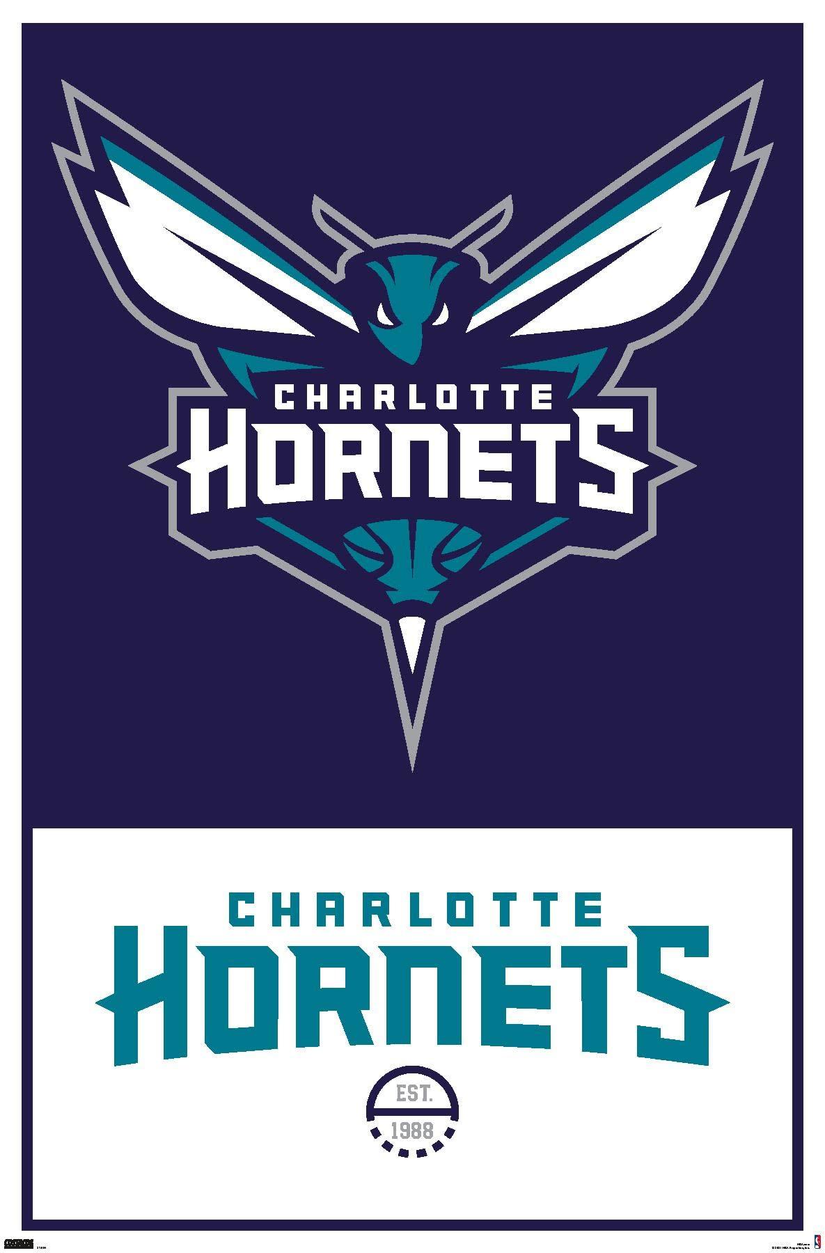 Hornets Journey Unraveling The Mysteries Of Pharloom