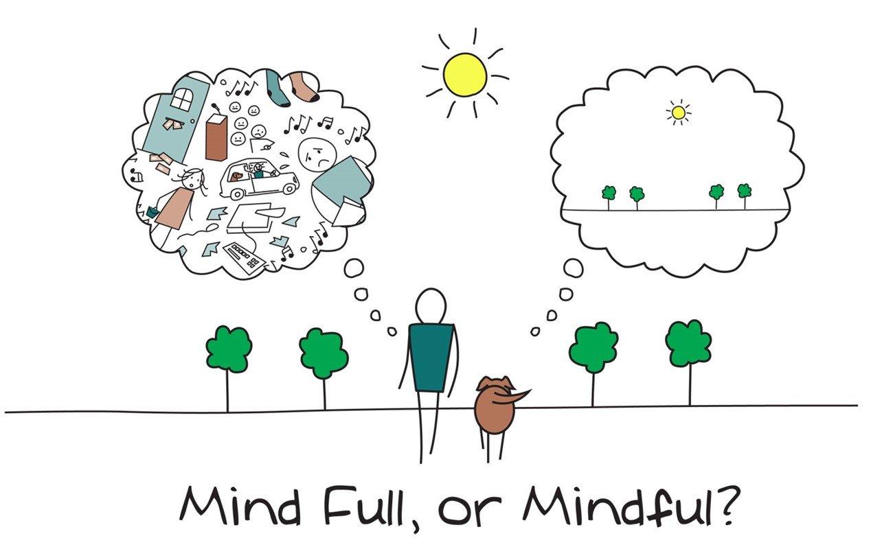 Cultivating Resilience Through Mindfulness And Self Compassion
