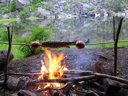 Finding Sustenance In The Most Unlikely Places
