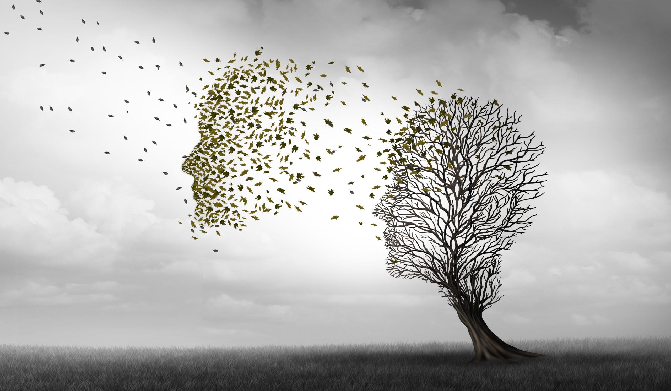 Exploring The Interconnectedness Of Memories And Identity